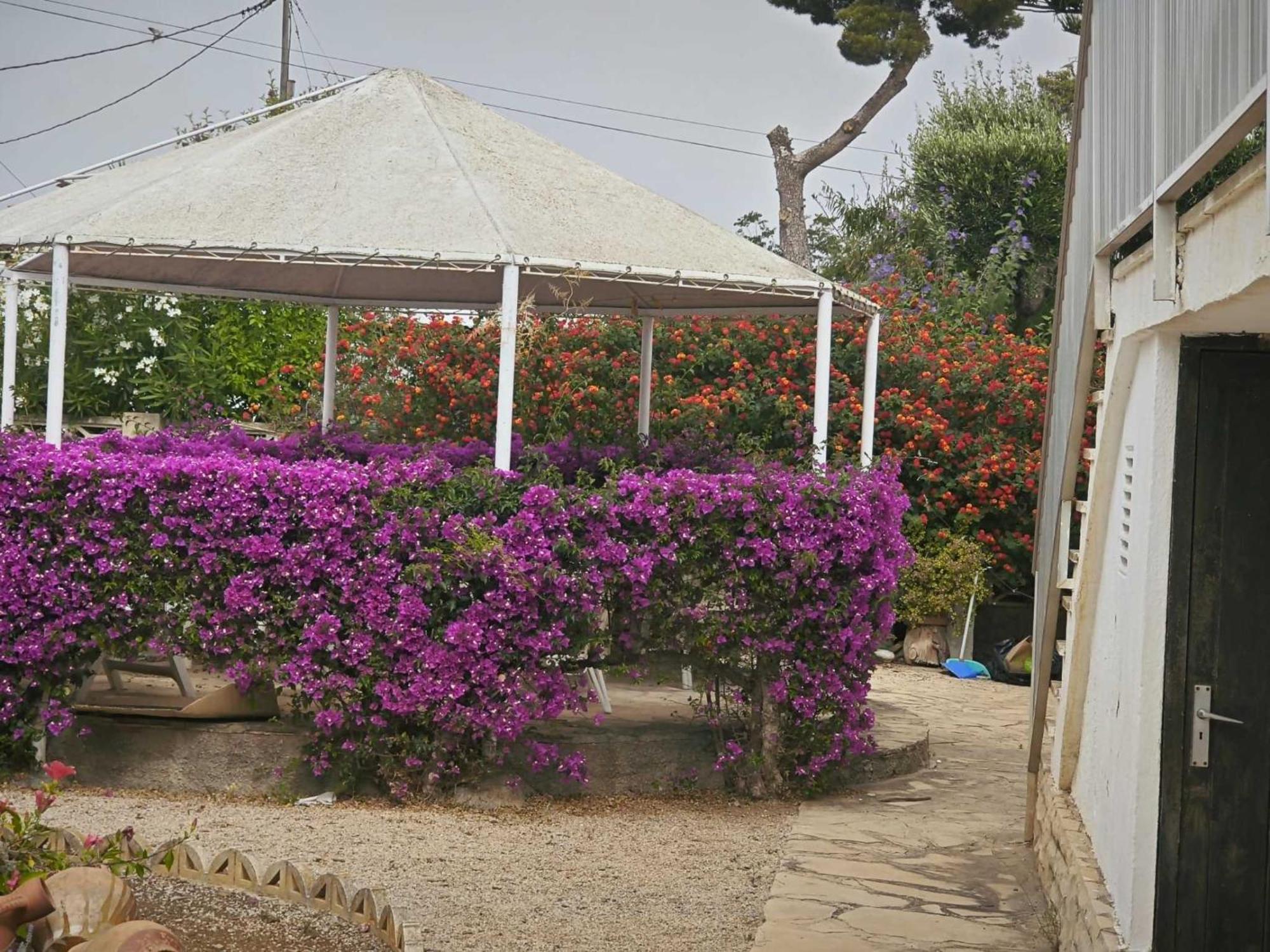 Casa Geminis Vinaros Apartment Luaran gambar